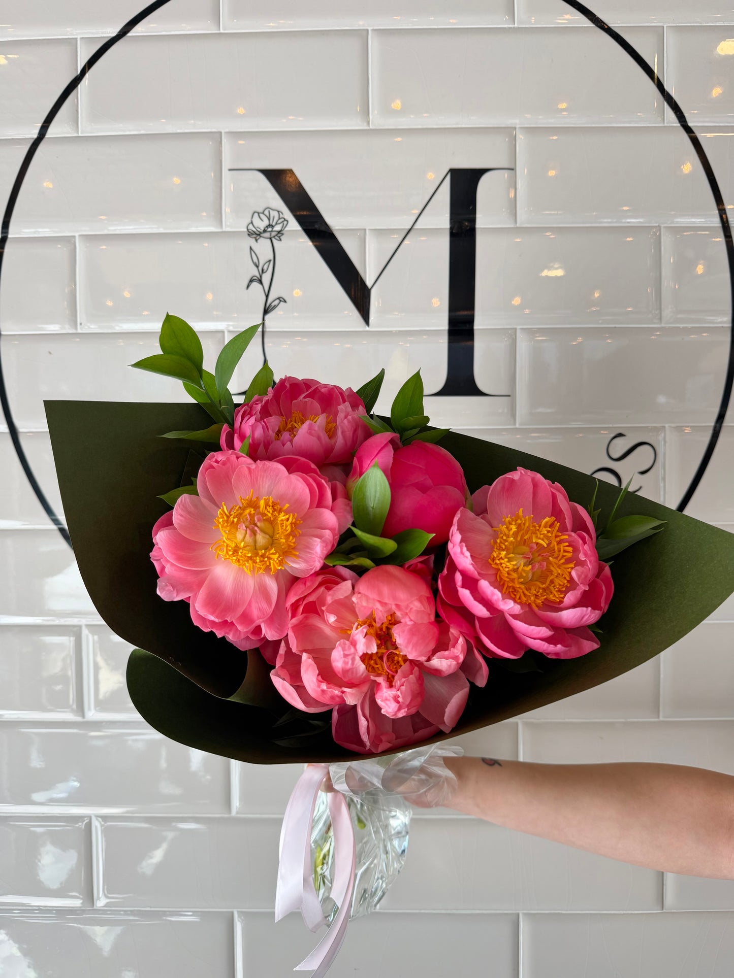 Pure Pivoine