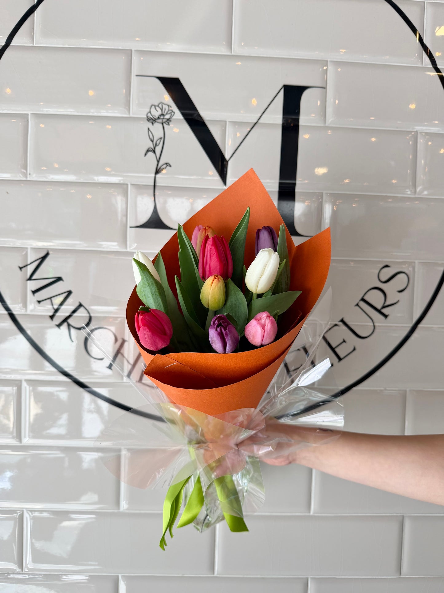 Tulipes