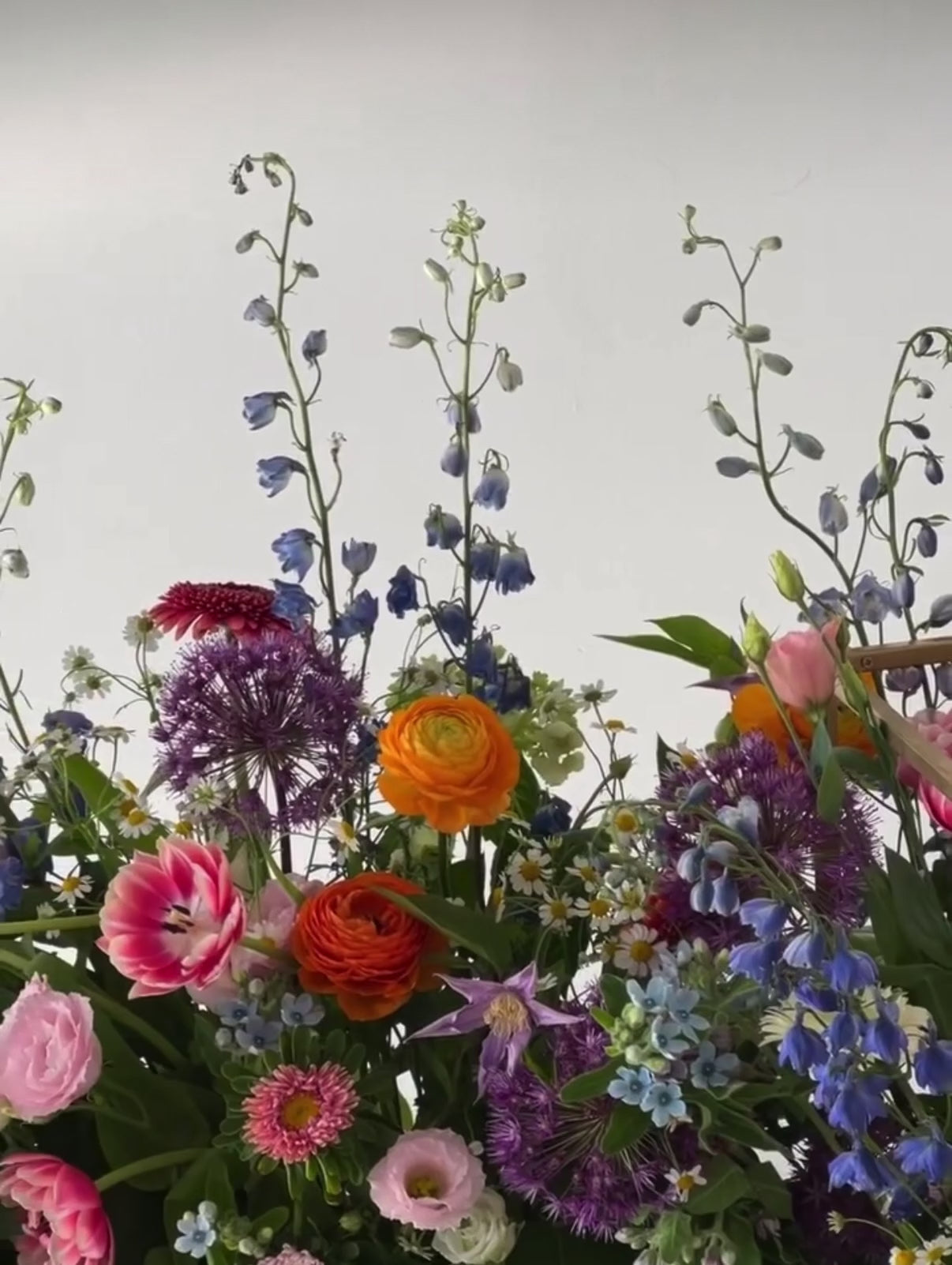 Charger la vidéo : 